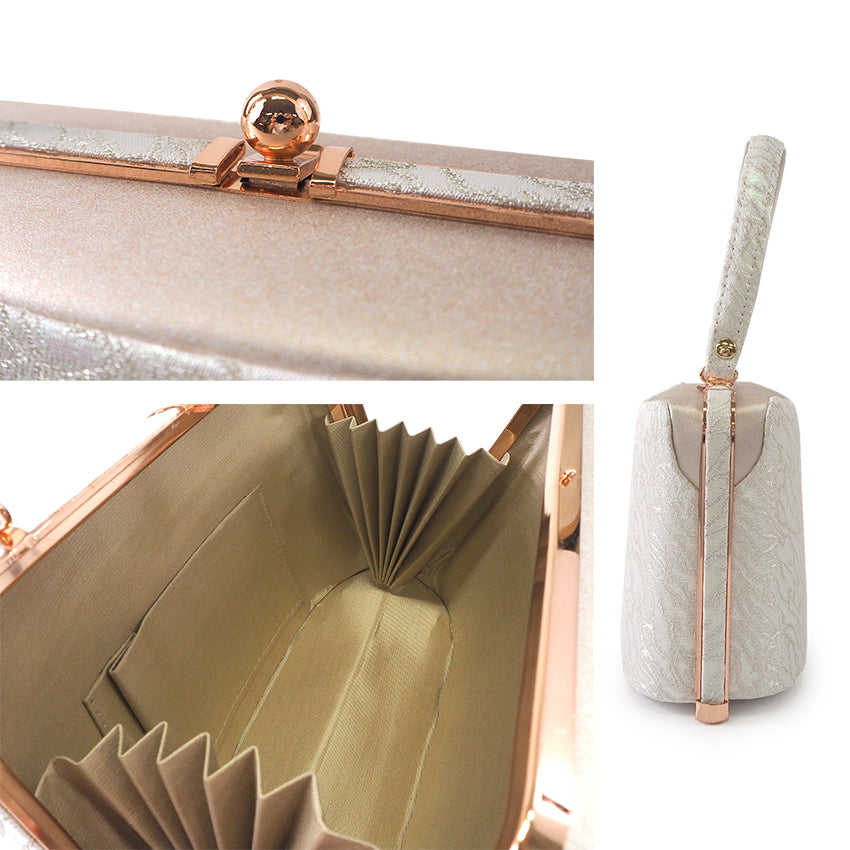 A SET of Robe De'collete'e formal ZORI（sandals）for traditional attire and a bag for TEA ceremony【Silver】