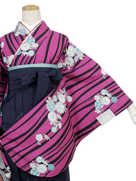 Women's Washable Nishakusode Kimono for Hakama -Purple Curvy Lines Reineckea Carnea Flowers