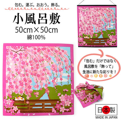 Small Furoshiki, Calico Cat Mike Hanami Sakura Cherry blossoms